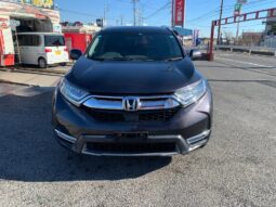 
										2019 Honda CR-V full									