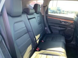 
										2019 Honda CR-V full									