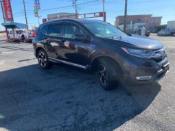 
										2019 Honda CR-V full									