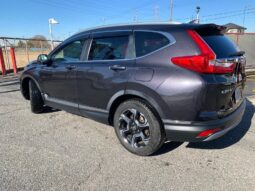 
										2019 Honda CR-V full									